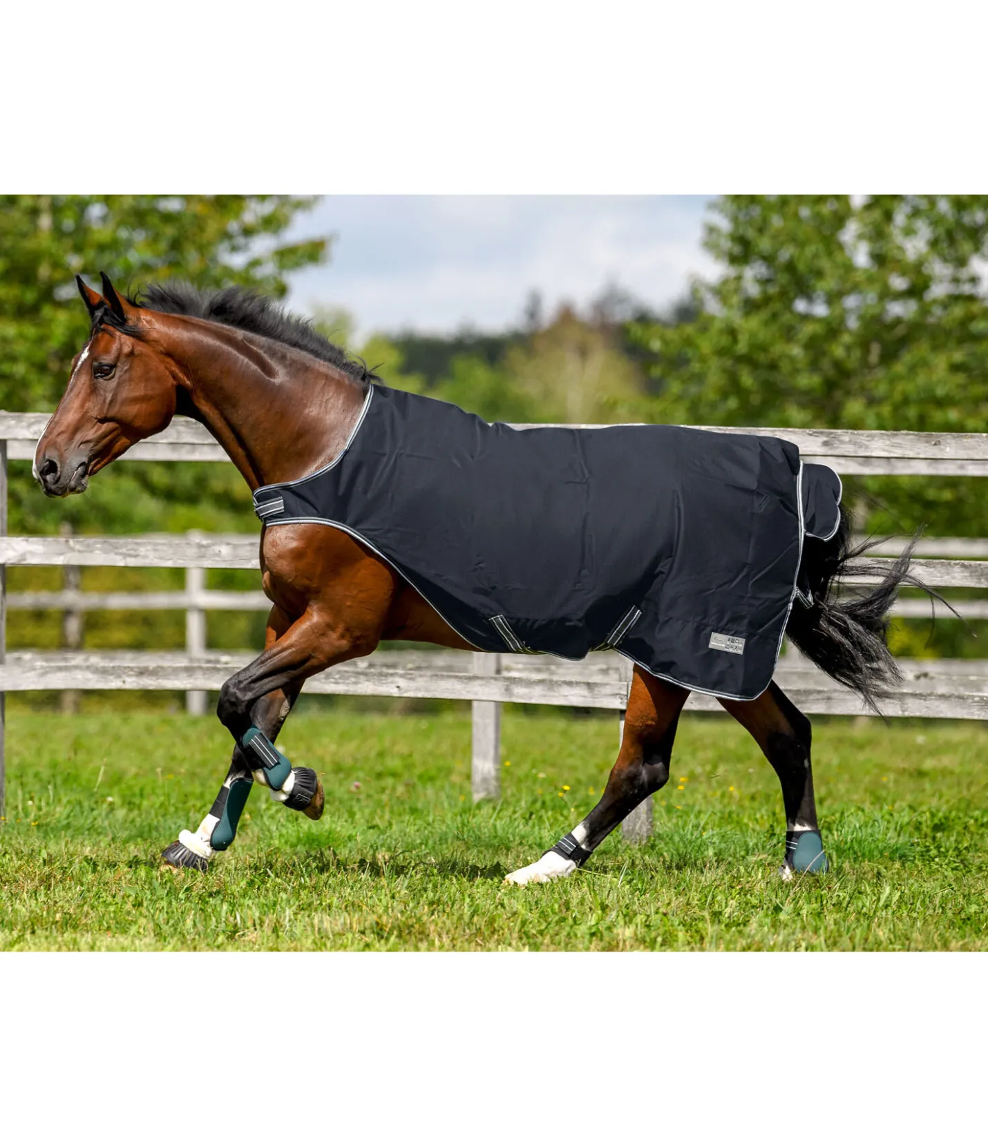 THERMO MASTER Couverture de marcheur imperméable Kasimo II, 100 g navy