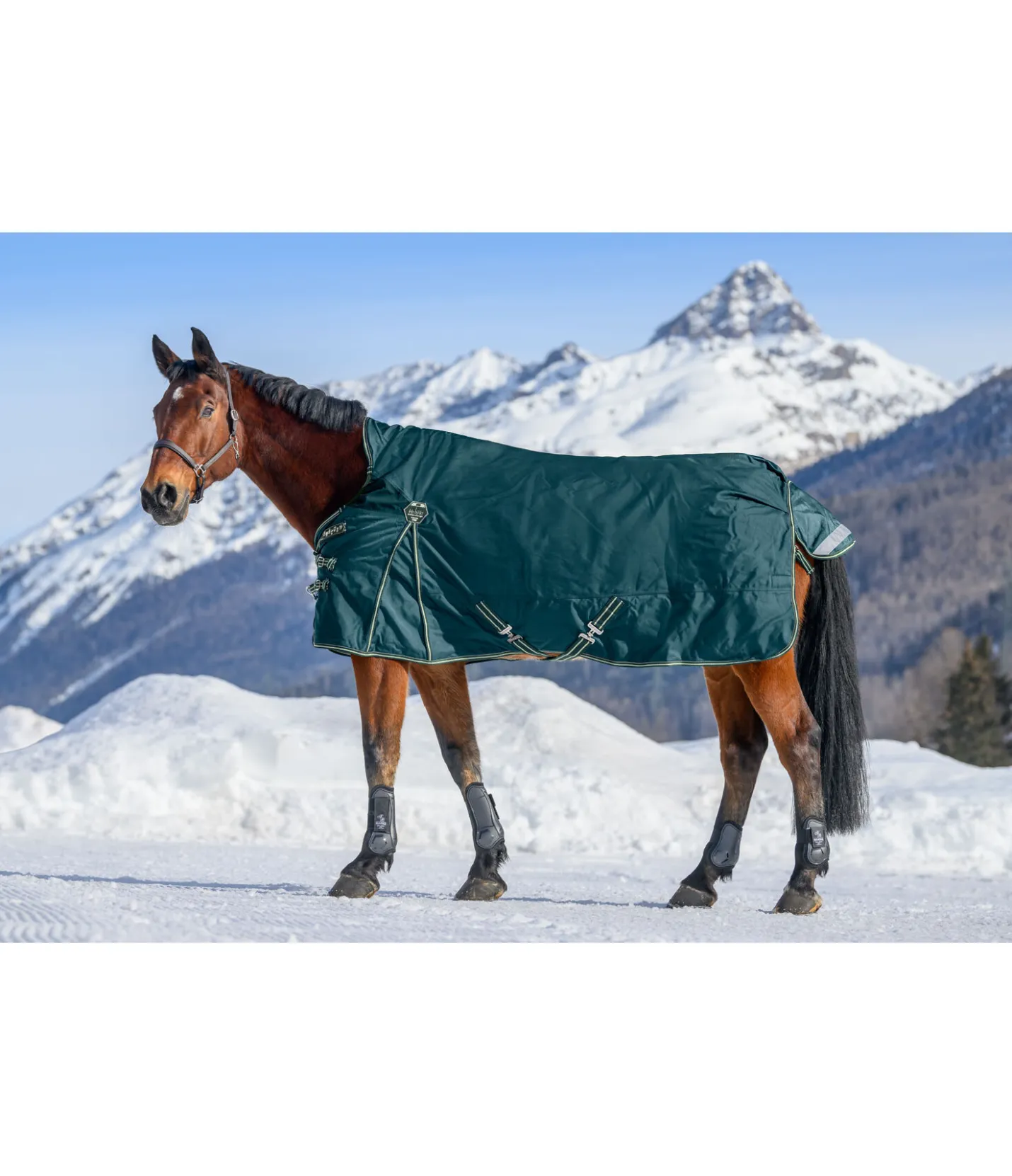 Felix Bühler Couverture d'extérieur Highneck Perfect Fit Nylon PRO, 50 g vert tropical Sale