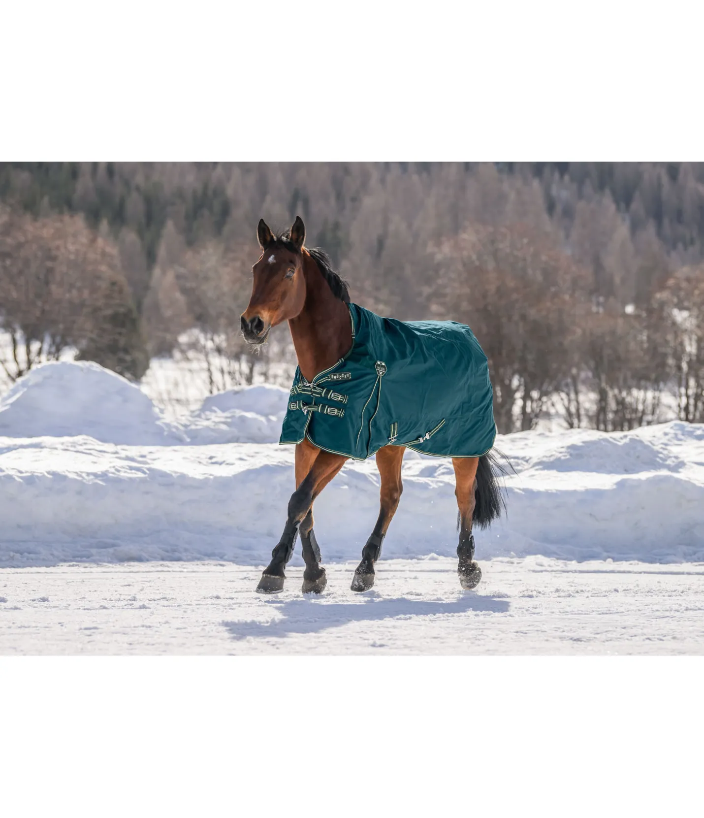 Felix Bühler Couverture d'extérieur Highneck Perfect Fit Nylon PRO, 50 g vert tropical Sale