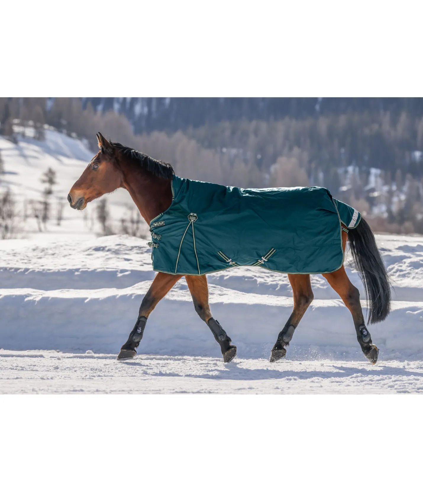 Felix Bühler Couverture d'extérieur Highneck Perfect Fit Nylon PRO, 50 g vert tropical Sale