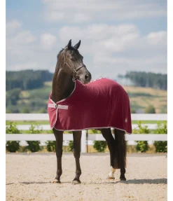 THERMO MASTER Couverture polaire Economic acajou Discount