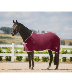 THERMO MASTER Couverture polaire Economic acajou Discount