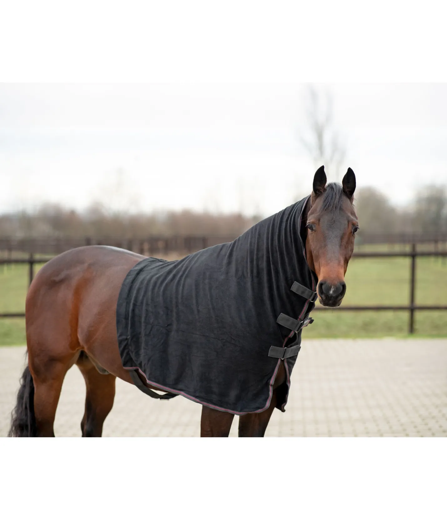 RANCH-X Couvre-cou polaire noir