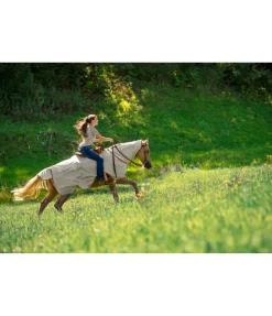 STONEDEEK Couvre-reins anti-mouches pour chevaux western avec couvre-cou enroulable ivoire Outlet