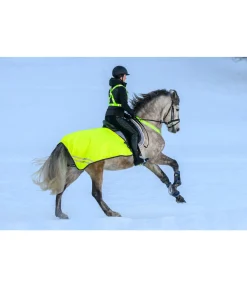 STEEDS Couvre-reins imperméable réfléchissant, 0 g jaune Best