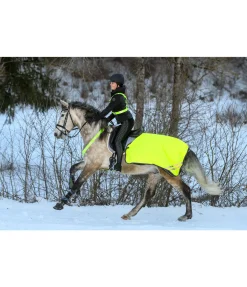 STEEDS Couvre-reins imperméable réfléchissant, 0 g jaune Best