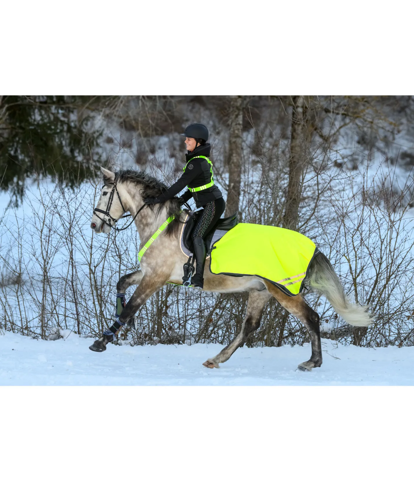 STEEDS Couvre-reins imperméable réfléchissant, 0 g jaune Best