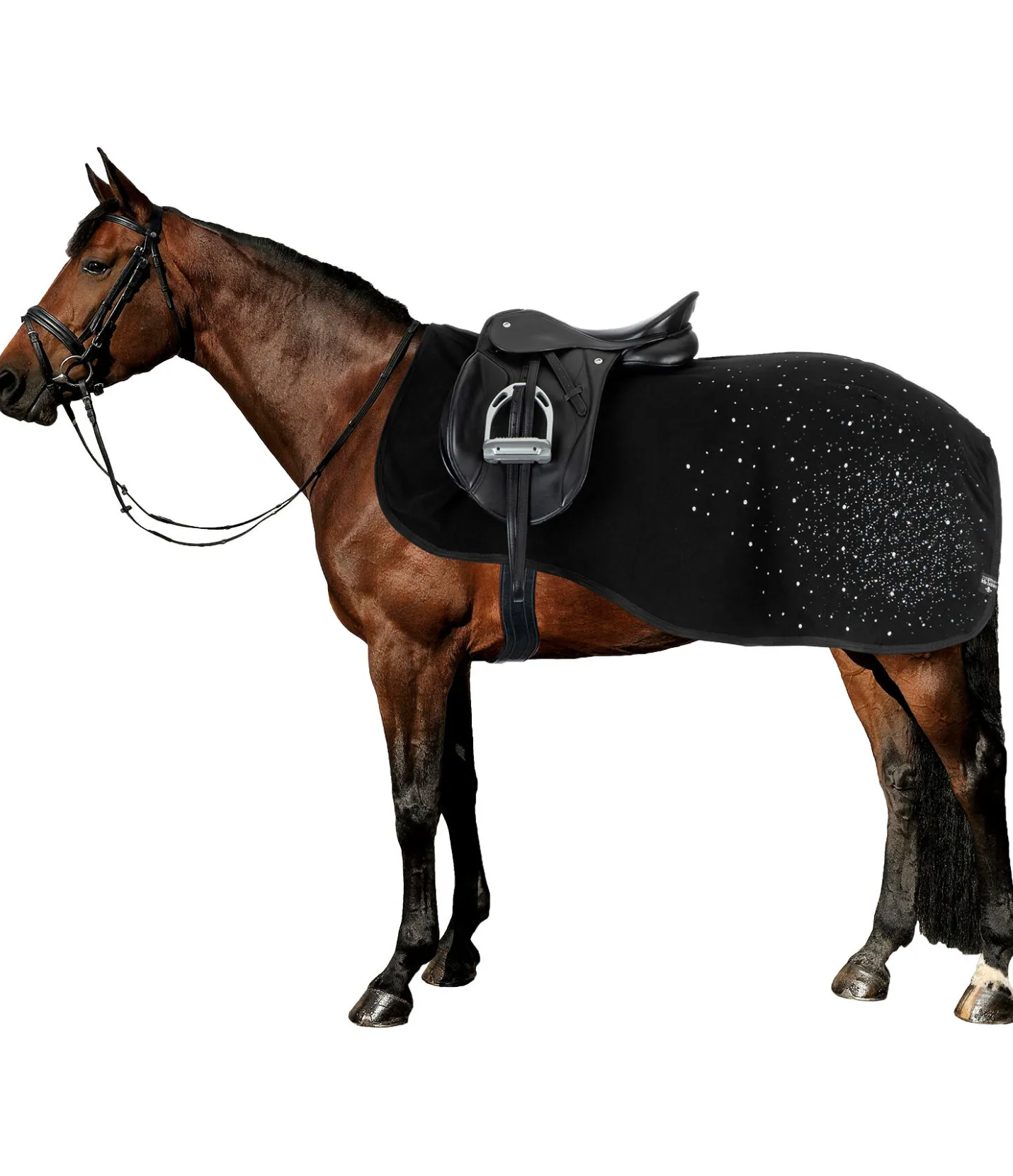 Felix Bühler Couvre-reins polaire technique Sparkling II noir