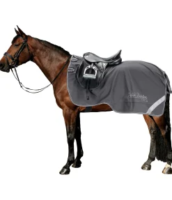Felix Bühler Couvre-reins softshell Alecto avec couvre-cou amovible carbone Clearance