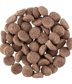 sugar dog Craquelins à la panse cuits au four Best