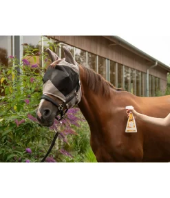SHOWMASTER Déo pour chevaux Orange Noix Sale