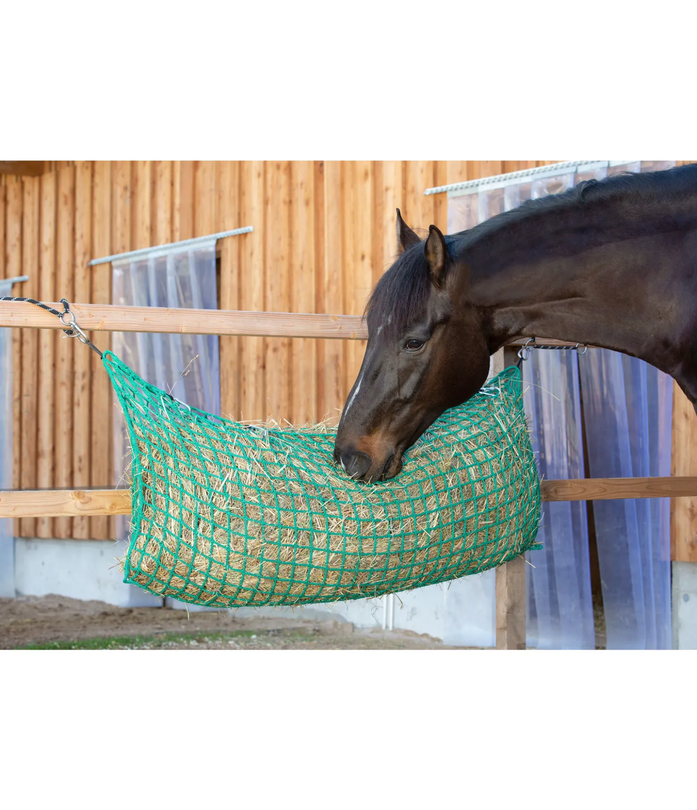 SHOWMASTER Filet à foin Easy Feed vert Online
