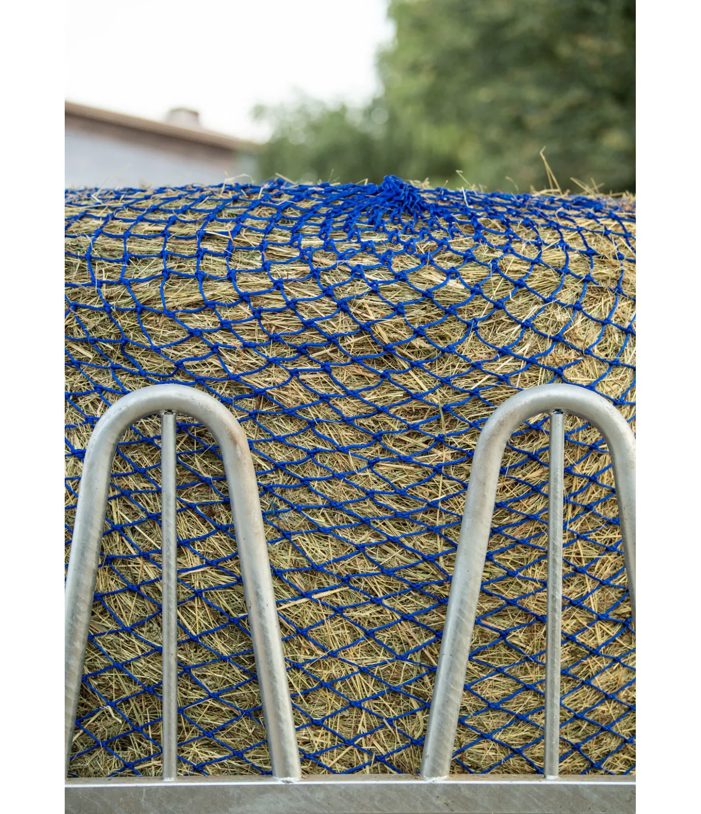 SHOWMASTER Filet à foin pour balles rondes cobalt Hot