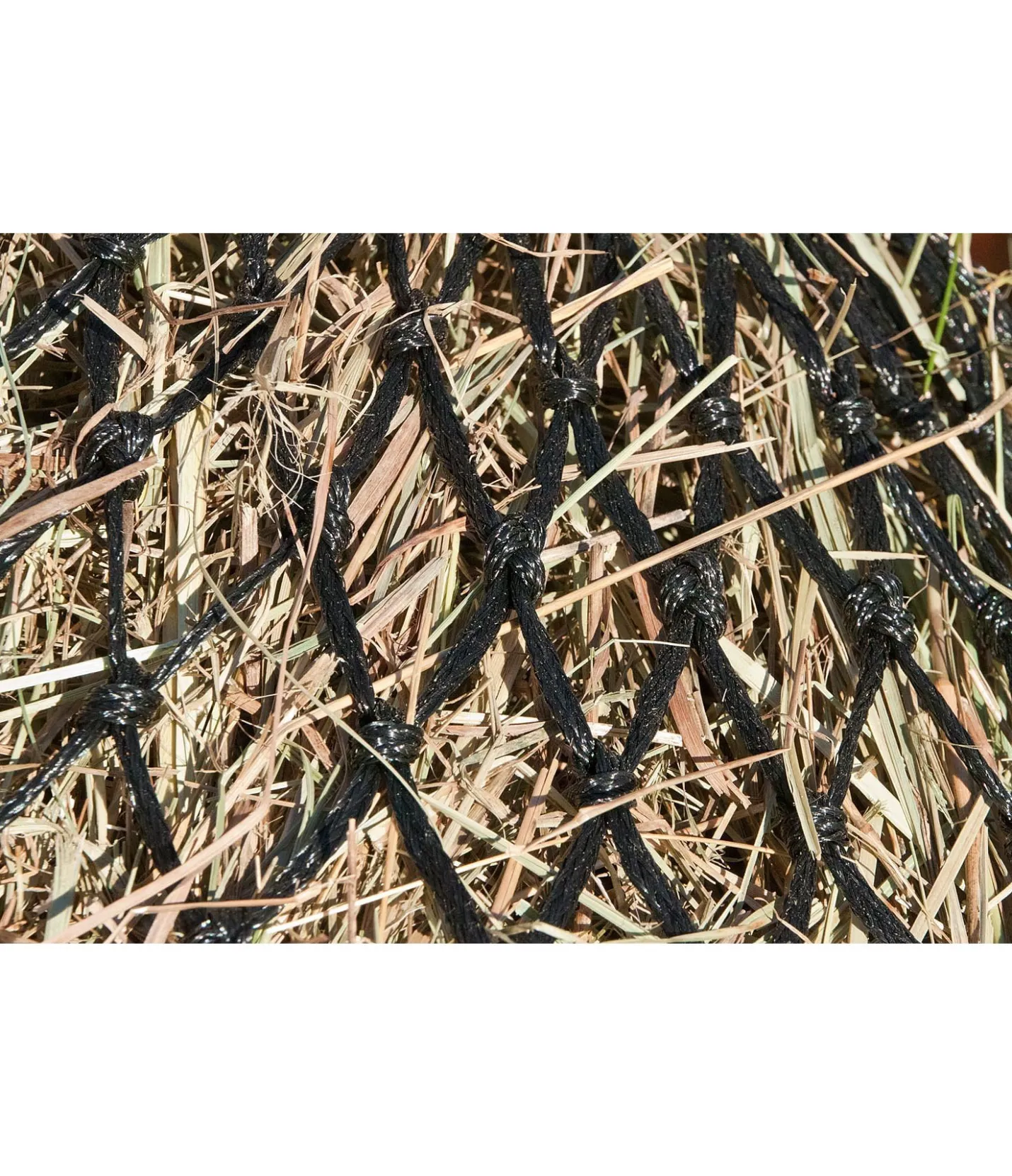 SHOWMASTER Filet à foin Super Tight noir Discount