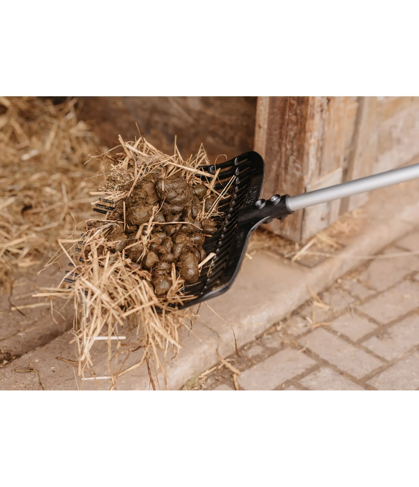 SHOWMASTER Fourche à crottins Curved noir Hot