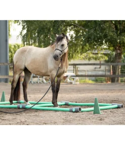 SHOWMASTER Frite en mousse pour travail au sol turquoise Sale