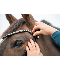 SHOWMASTER Frontal Change Fast Diamond noir/argenté Online