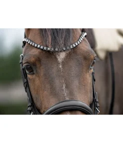 SHOWMASTER Frontal Change Fast Diamond noir/argenté Online