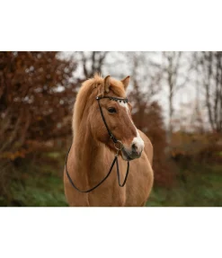 FENGUR Frontal Silfra noir Outlet