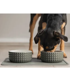 sugar dog Gamelle en céramique Berkeley olive antique