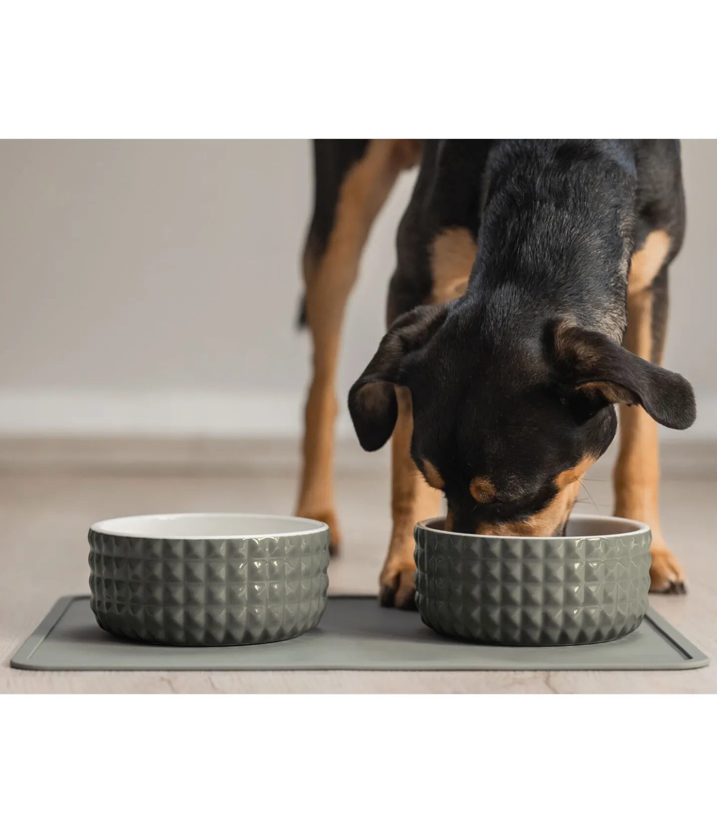 sugar dog Gamelle en céramique Berkeley olive antique