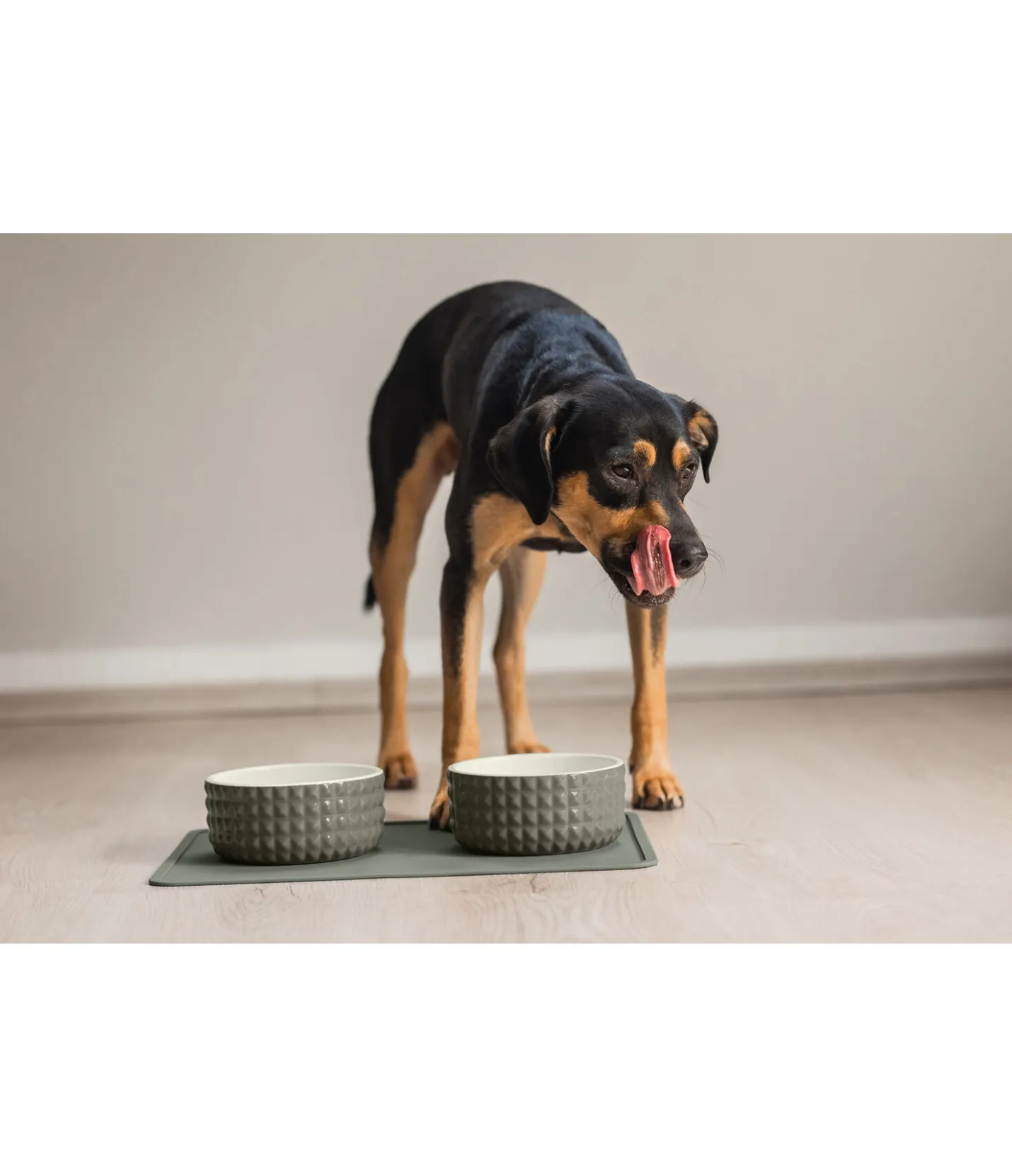 sugar dog Gamelle en céramique Berkeley olive antique