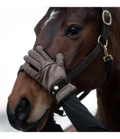 STEEDS Gants d'hiver Luzern noix Discount