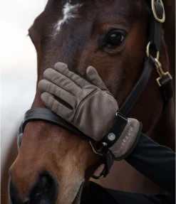 STEEDS Gants d'hiver Luzern noix Discount