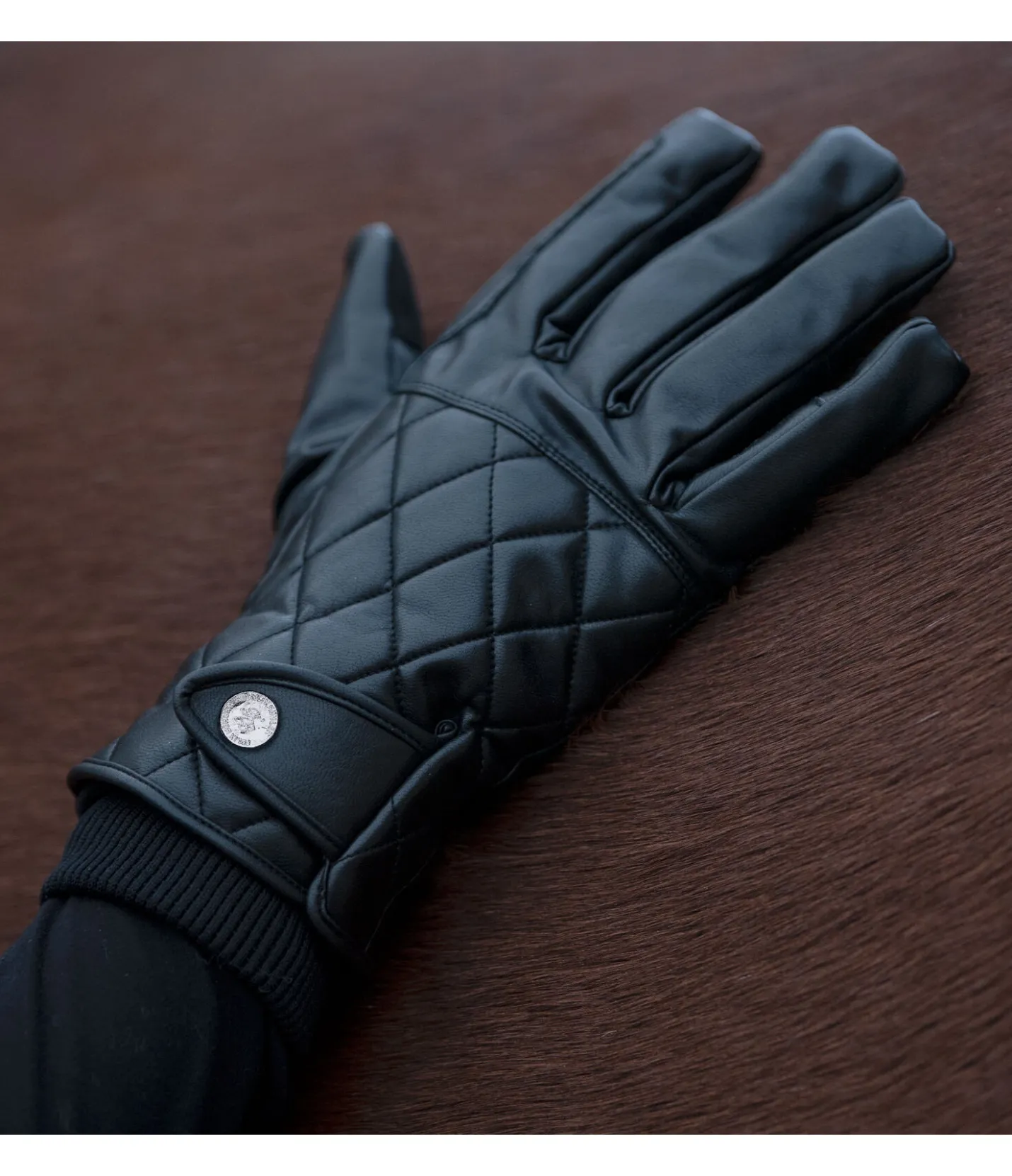 Felix Bühler Gants d'hiver en synthétique Zermatt noir Discount