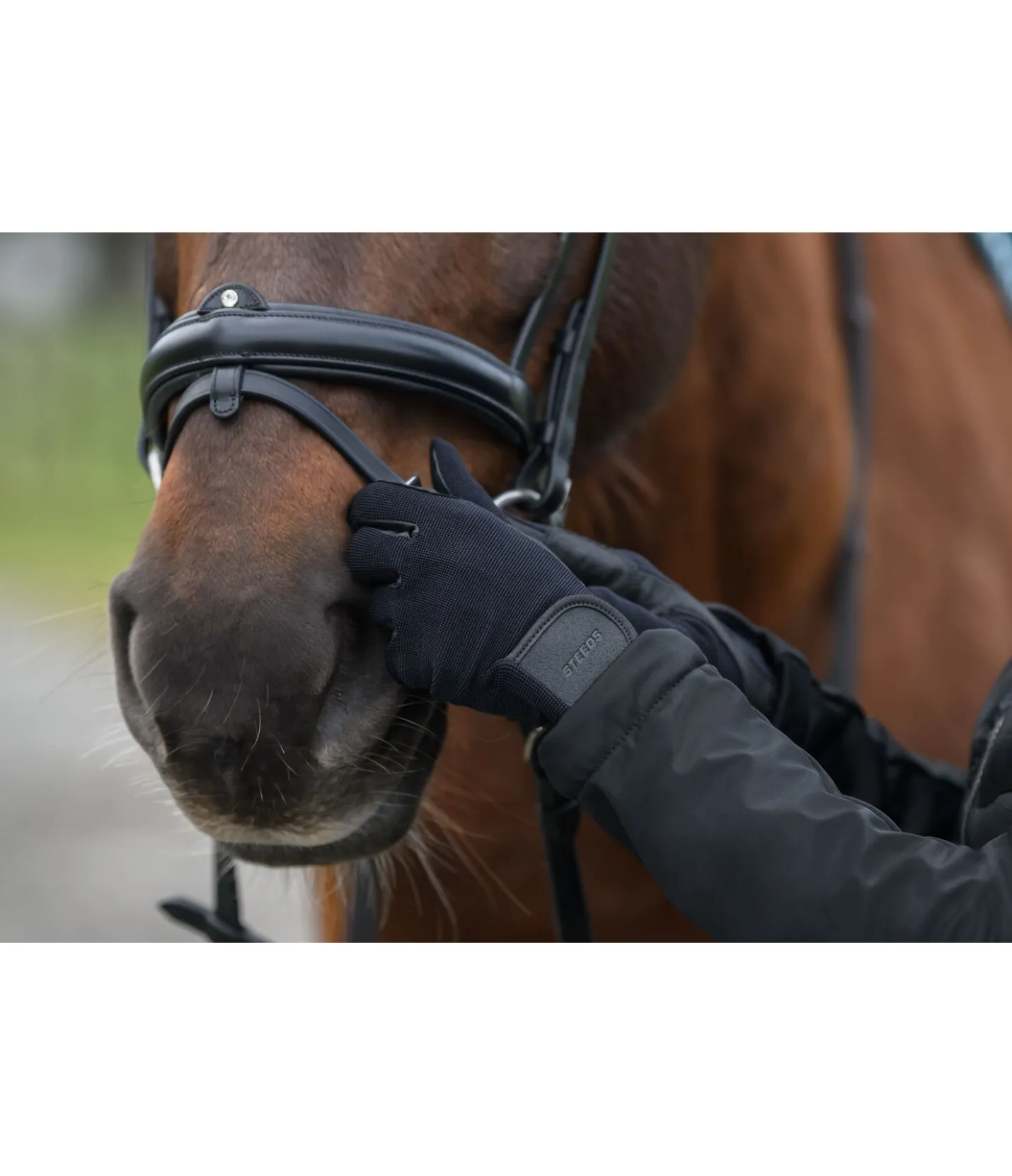 STEEDS Gants d'équitation All Season Ribbed noir Discount
