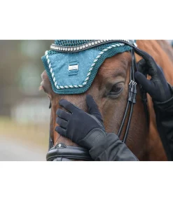 STEEDS Gants d'équitation All Season Ribbed noir Discount