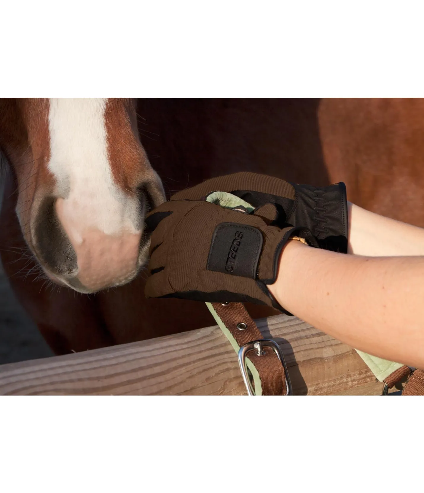 STEEDS Gants d'équitation d'hiver Newport moka Online