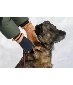 Felix Bühler Gants d'équitation d'hiver Zermatt noir Discount