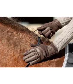 STEEDS Gants d'équitation d'hiver Copenhague chocolat noir New