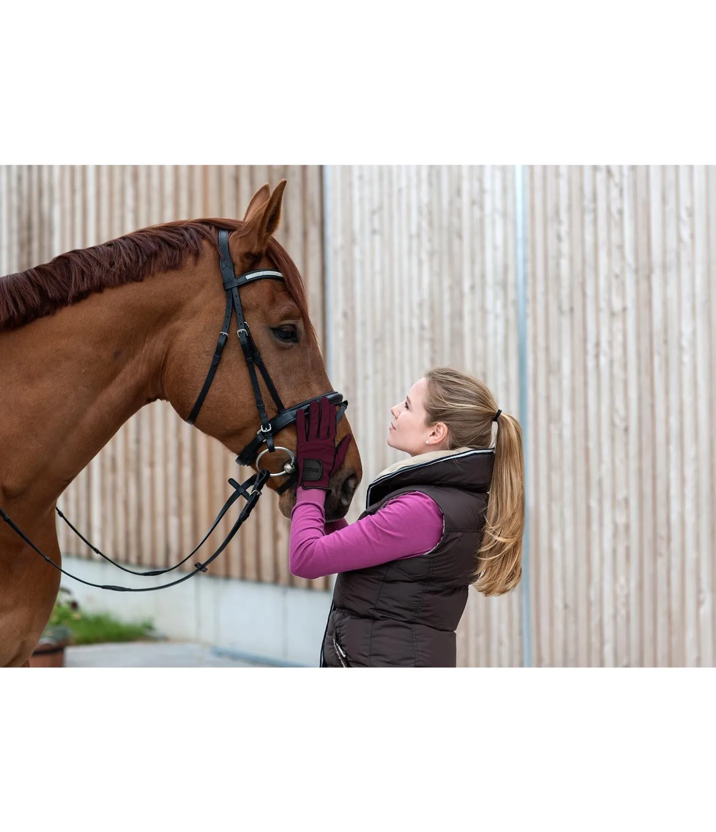 STEEDS Gants d'équitation d'hiver Newport mûron Sale