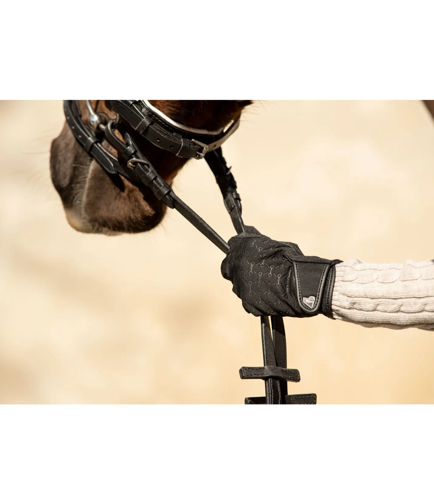 Felix Bühler Gants d'équitation d'hiver Classy noir