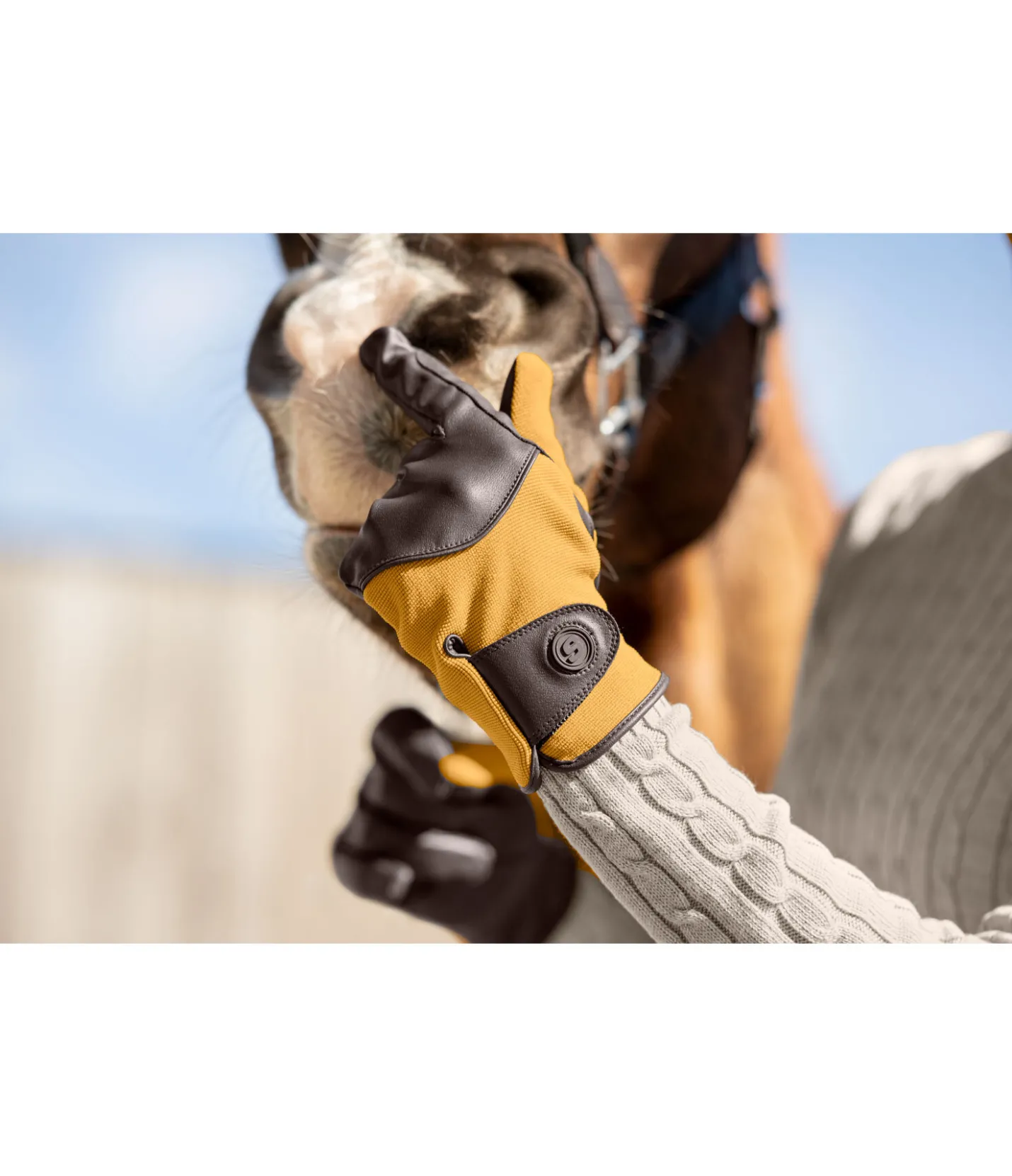 STEEDS Gants d'équitation d'hiver Copenhague mangue dorée