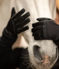 STEEDS Gants d'équitation d'hiver softshell Sparkle noir New