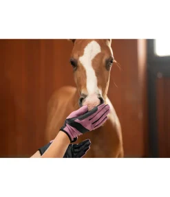 STEEDS Gants d'équitation d'été Siena rose poudre