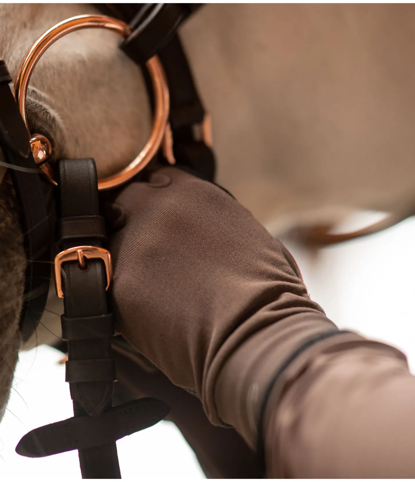 STEEDS Gants d'équitation toutes saisons noix Clearance