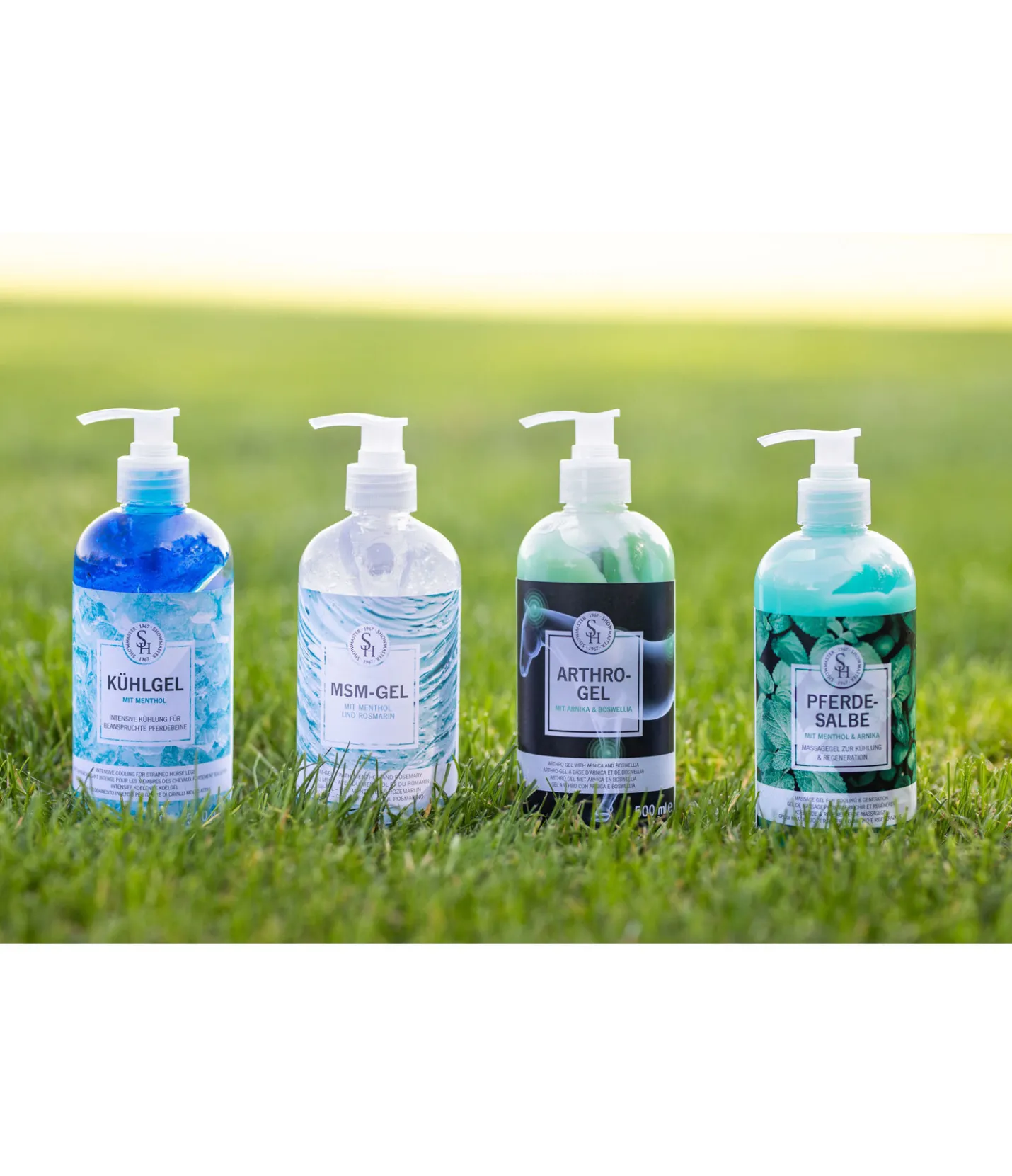 SHOWMASTER Gel de massage Online
