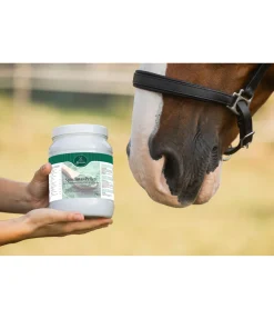 Original Landmühle Granulés de spiruline Hot