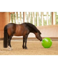Kramer Grosse balle de jeu pour cheval pomme vert Hot