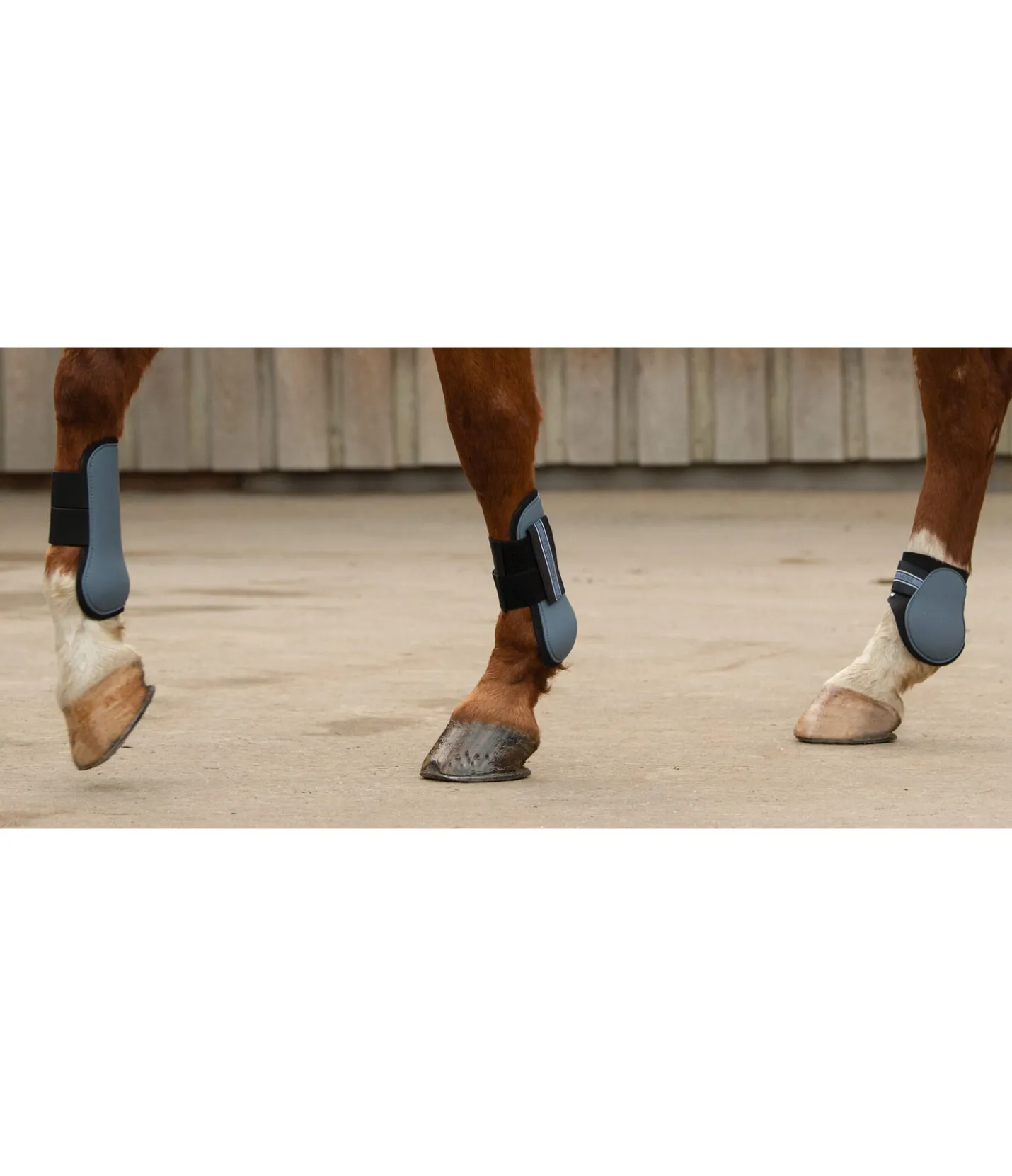SHOWMASTER Guêtres à coque rigide denim clair Hot