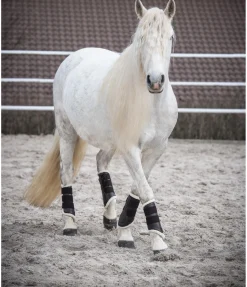 SHOWMASTER Guêtres de dressage antérieures en polaire Teddy brun Hot