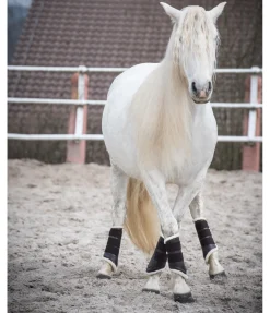SHOWMASTER Guêtres de dressage antérieures en polaire Teddy brun Hot