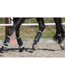 SHOWMASTER Guêtres de dressage antérieures en polaire Teddy noir Best