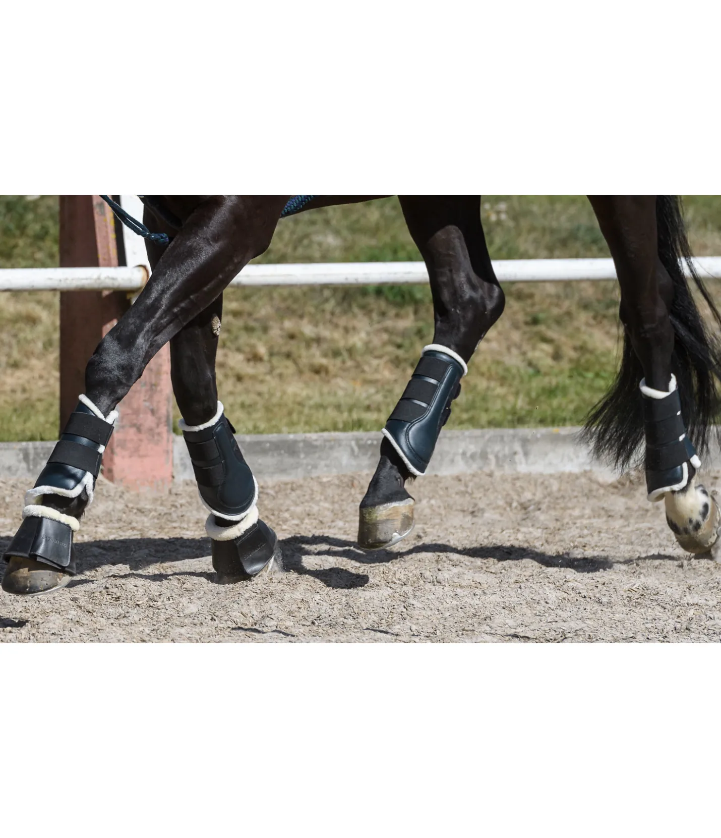 SHOWMASTER Guêtres de dressage antérieures en polaire Teddy noir Best