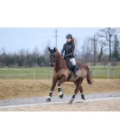 SHOWMASTER Guêtres de dressage avec polaire Teddy Classic (pour postérieurs) noir Discount