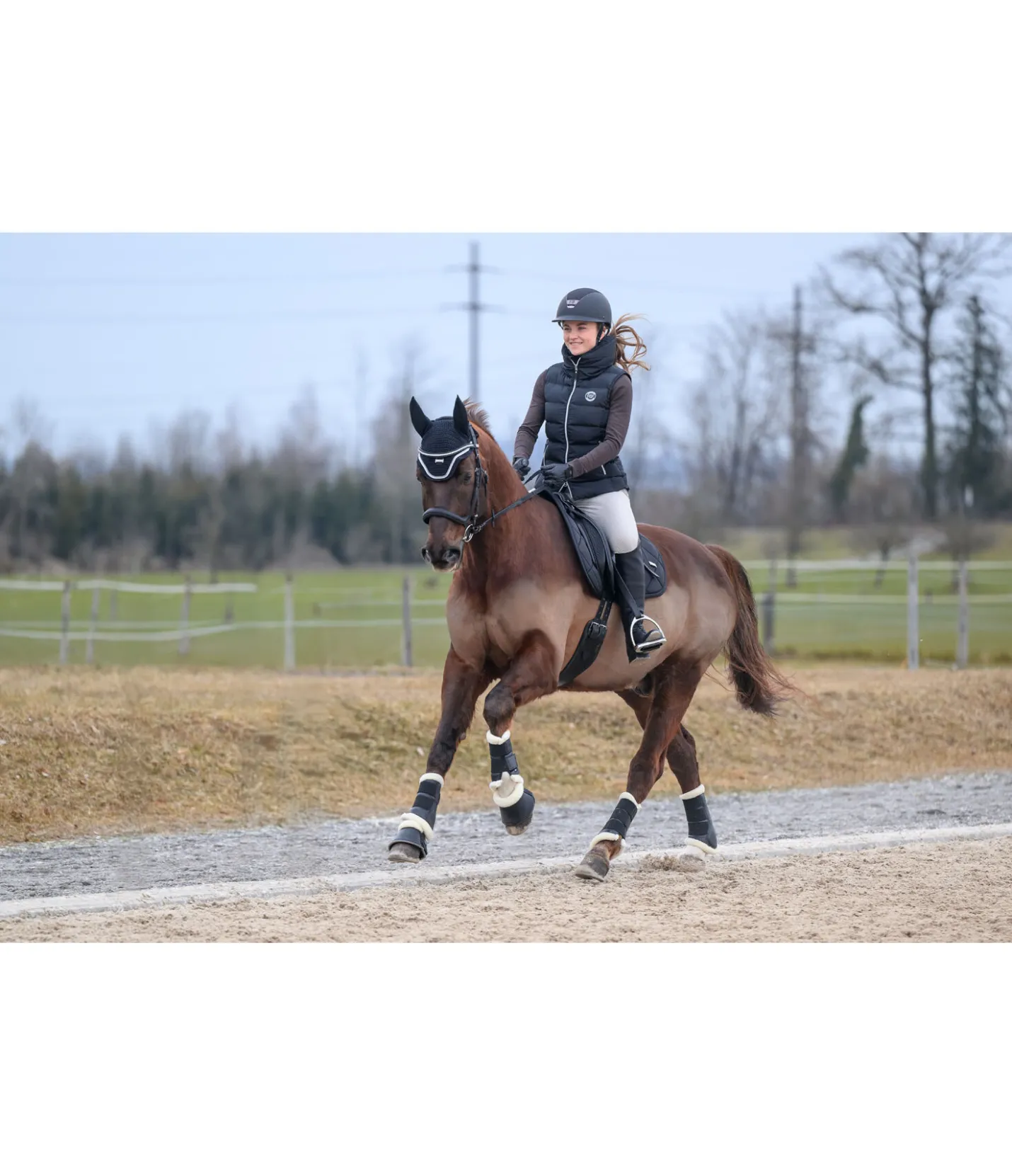 SHOWMASTER Guêtres de dressage avec polaire Teddy Classic (pour postérieurs) noir Discount